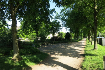 公園の木陰