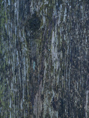 Obraz premium Very old wooden background or texture