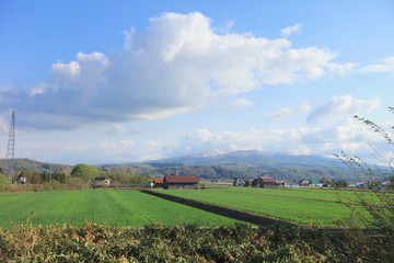 Furano Line of countryside of Japan, Asia.