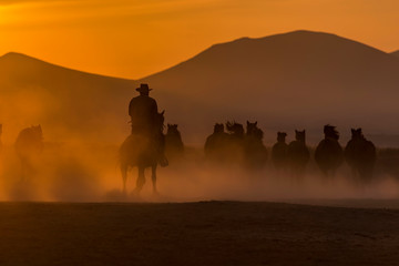 Cowboy dander, smoke and dust was in the wild horses