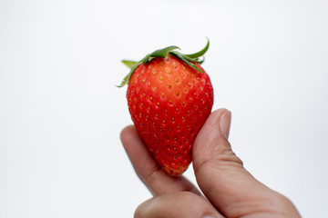 hand finger holding fresh strawberry on white background