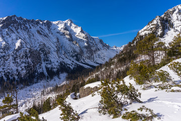 Obraz na płótnie Canvas Slavkovsky Peak in a beautiful winter scenery. High Tatra Mountains. Slovakia.