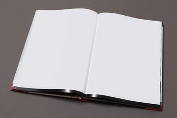 Magazine Mockup. Magazine page concept