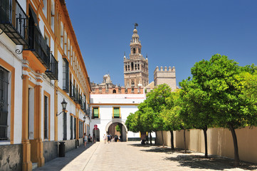 Obraz premium Spain, Andalusia, Sevilla, the Giralda minaret and the cathedral listed as World Heritage by UNESCO, view from the Patio de Band.