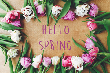 Hello spring text sign on beautiful double peony tulips frame flat lay on wooden table. Springtime. Stylish floral greeting card. Hello march © sonyachny