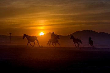 Fototapeta na wymiar wild horses sunset and cowboy