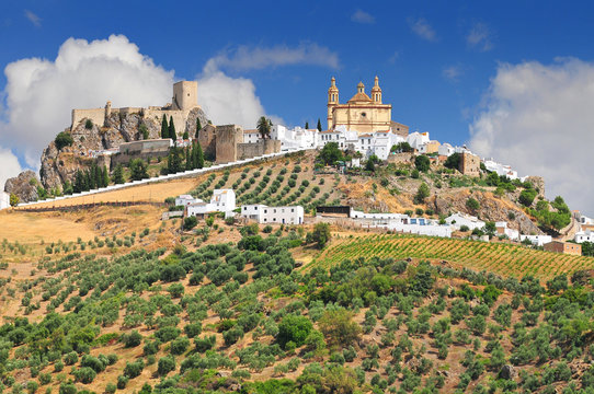 Olvera is a white village (pueblo blanco) in Cadiz province, Andalucia, Spain. It features a moorish fortress and a neoclassic cathedral overlooking the whitewashed village.