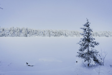 Snow Covered River Between Finland and Sweden