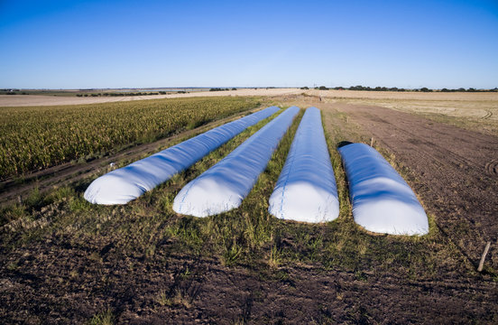 Silo Bag, Grain Storage In La Pampa, Argentina