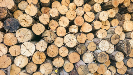 Dry firewood in a pile