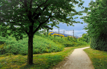 Fototapeta premium Train running through a park