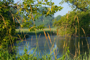 Wetland Warmth