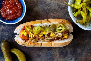 Gourmet hot dog