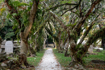 Protestant cemetery, Georgetown, Malaysia
