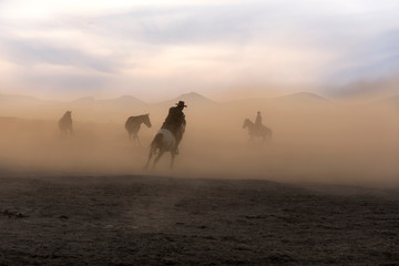 Cowboy dander, smoke and dust was in the wild horses