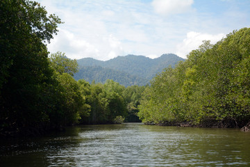 Kilim Geoforest Park Langkawi, Malaysia