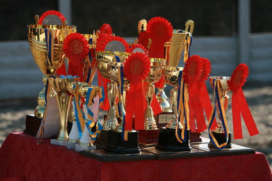 Cup of horses endurance on the table with red rosettes