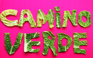 Camino verde sobre fondo rosa.