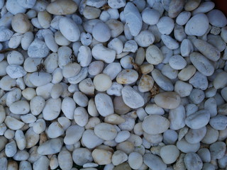 white stone background,pebbles on the beach