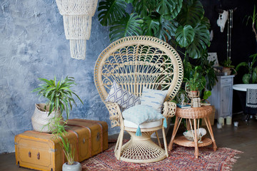 Rattan peacock chair and big monstera plant in loft room