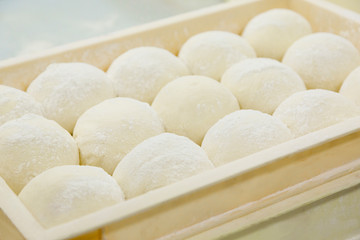 発酵した食パン用の生地