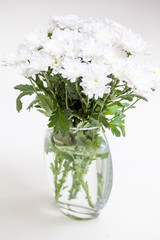 Bouquet of white flowers Chrysanthemums in vase on white background