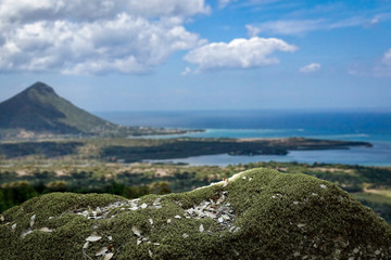 Desk of free space and Madagascar landscape 