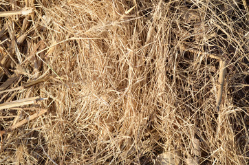 Haystack in the evening sunlight.Golden hay Backgrounds