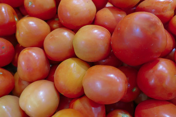 The fresh red tomatoes are put together.