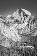 Half Dome with Rising Moon B&W