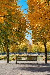 Naklejka premium Parkbank in einem herbstlichen Park bei Magdeburg