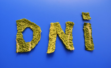 DNI hecho con hojas verdes sobre fondo azul