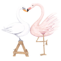 Swan kisses Flamingo