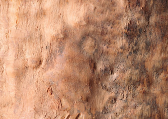 Tree trunk beige color without bark background or texture