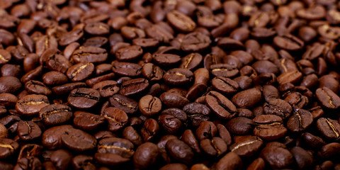 Aroma roasted coffee beans, brown banner background. Soft focus close up.