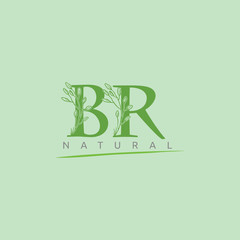 Nature Green Leaf BR Letter Logo