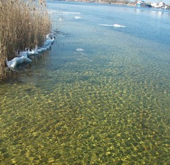 Water, the river in the thaw