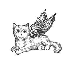 Angel flying kitten sketch engraving vector illustration. Scratch board style imitation. Black and white hand drawn image.