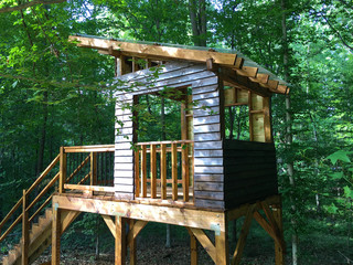 Kids tree fort in the forest