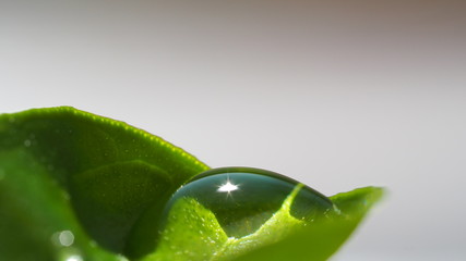 OLYMPUS DIGITAL CAMERA © Magorzata