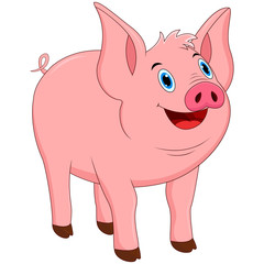 Vector illustration of cute pig cartoon