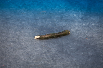 Obraz premium caterpillar on blade of grass