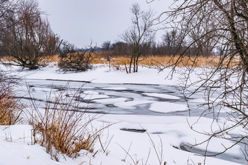 Winter decorates wetland