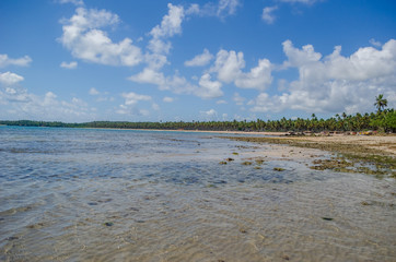 Paisagem de praia na ilha de Boipeba Bahia, Brasil. Fevereiro 2019.