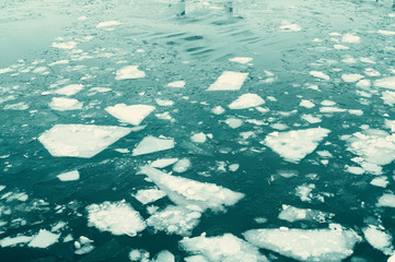 Ice floes on a river