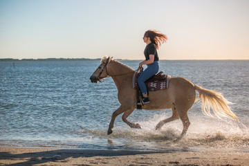 girl riding on haflinger horse in the sea