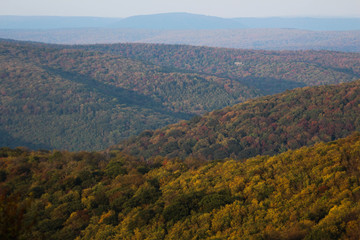 View from Bickle Knob Tower