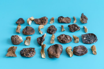 Slices of dry boletus mushrooms isolated on blue background. Dried mushrooms on a blue background. Background blank