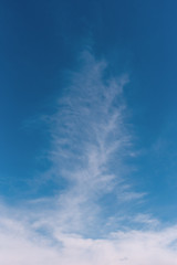 Wolkenfeder