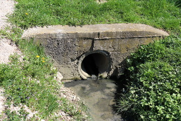 Concrete sewer pipe exit mounted in concrete wall covered and surrounded with uncut grass and small flowers on warm sunny day